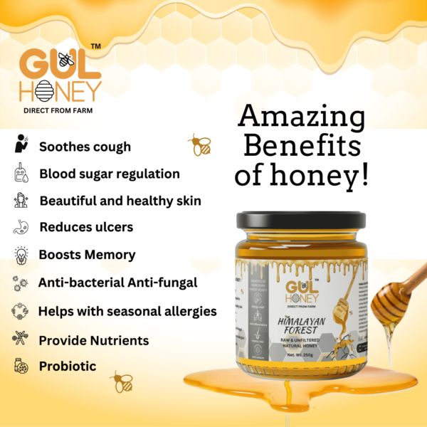 Gul Honey Himalayan Honey -100% pure Natural Organic Honey