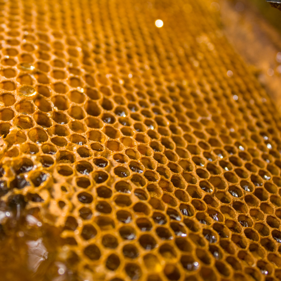 Gul Honey natural Honey