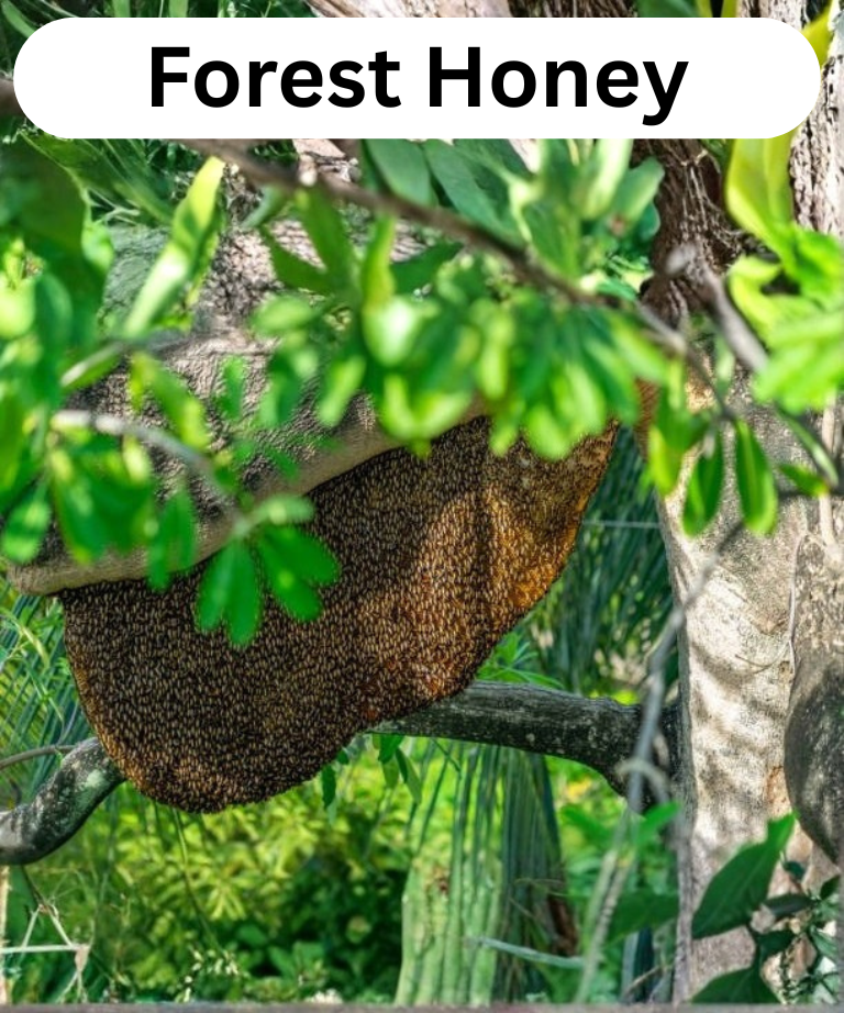 Gul Honey 100% Pure Raw Forest Honey