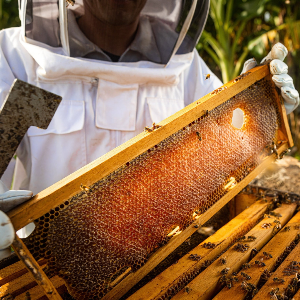 Gul Honey 100% Pure Raw Honey Flower Honey